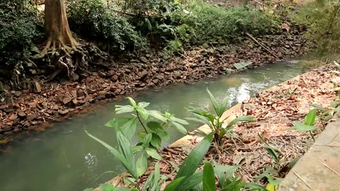 Green river Stock Footage 248444835