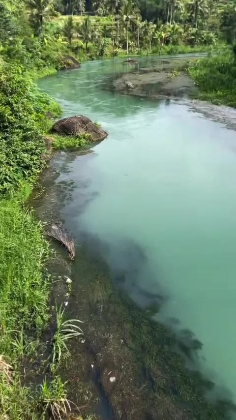 Green river Stock Footage 307452576