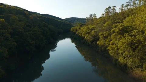 Green river in the forest. Irani river. 4K. Aerial. Drone. Video stock 317657506