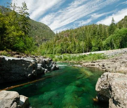 Green river in the forest Stock Photos