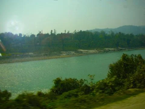A green river front Stock Photos