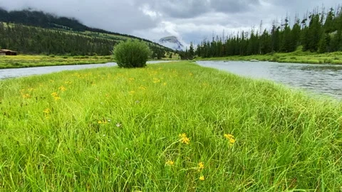 Green River Hatch Vídeos de archivo 330595368