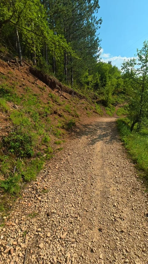 Green river meanders through forested valley. Gradasnica River Canyon, Vertical Vídeo Stock 341967238