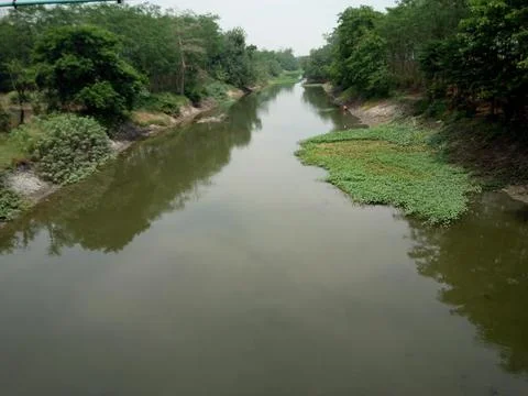 Green river Foto stock