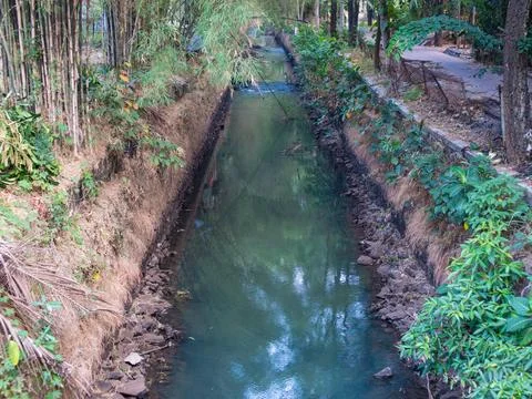 A green river Stock Photos
