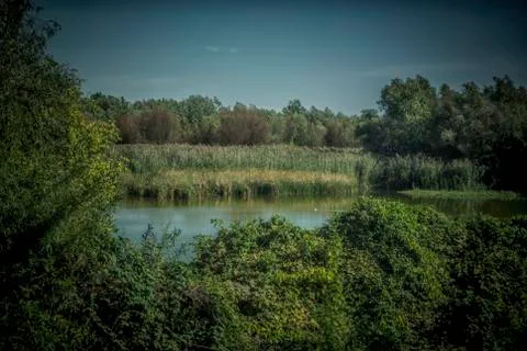 A Green River in Spring Foto stock