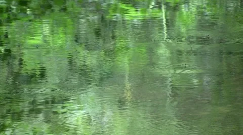 Green river in summer Stock Footage 8201837