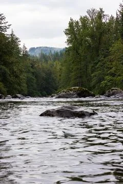Green River View with Forest and Mountains Stock Photos