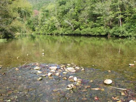 Green river view Stock Photos