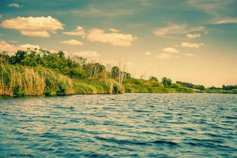 Green riverside with blue water Stock Photos