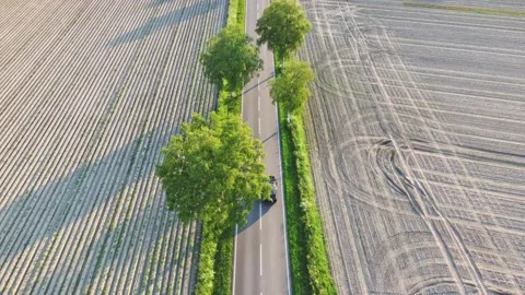 Green road / 4K Stock Footage 155439390