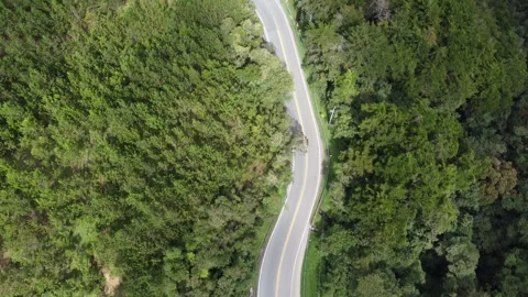 Green road 스톡 동영상 272180020