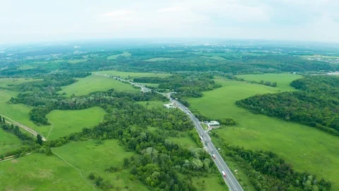 Green Road In Forest Stock Footage 108441150