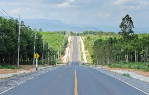 Green road Stock Photos