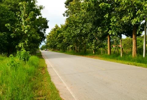 Green road. Stock Photos