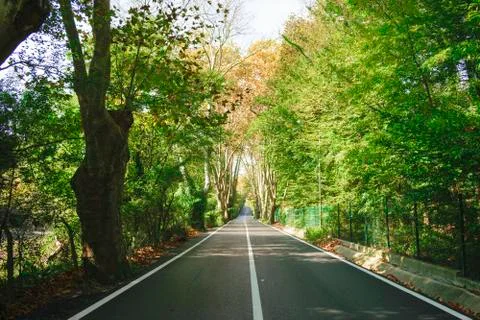 Green Road Stock Photos