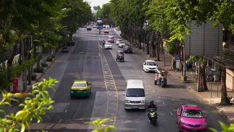Green road,traffic is not chaotic Video stock 110384697
