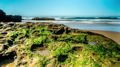 Green Rock Beach Timelapse 4k Stock Footage 68995693