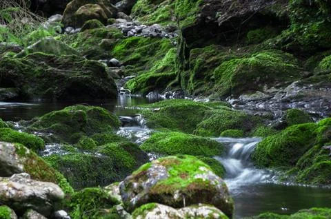Green rock stream Stock Photos