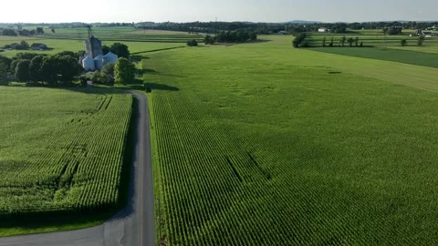 Green rolling farm fields in USA. Aerial pullback reveal of farmland in Stock Footage 203712983