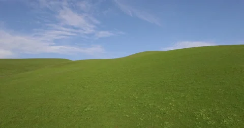 Green Rolling hills 1 4k Video stock 47994982