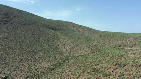 Green Rolling Hills with Dense Shrub Vegetation and Blue Sky Stock Footage 335719961