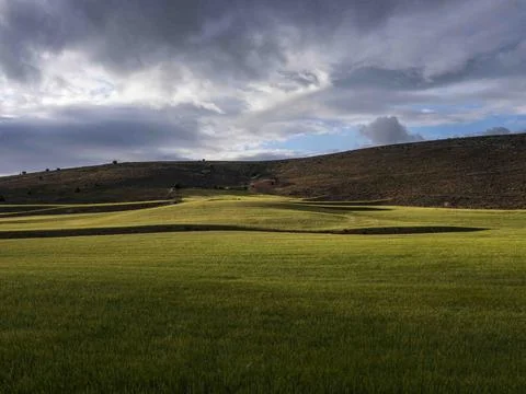 Green rolling hills with dramatic cloudy sky Foto stock