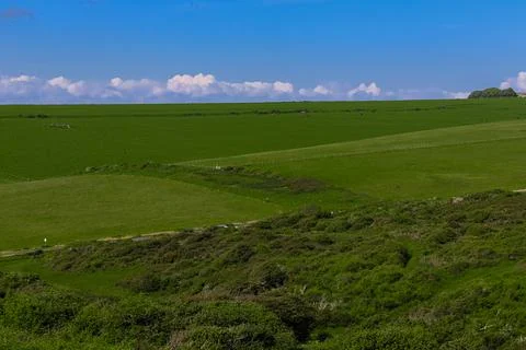 Green rolling hills with fields and shrubs under a sunny blue sky with whit.. Stock Photos