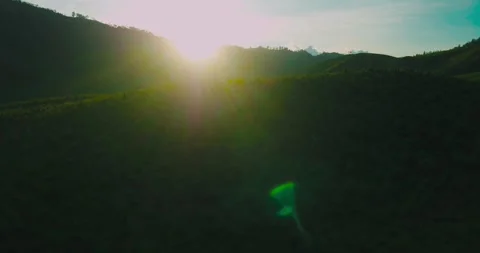 Green Rolling Hills of Mount Bromo – East Java Aerial Landscape 4K Stock Footage 329259604