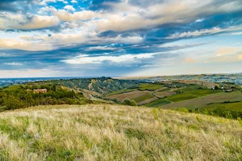 Green rolling hills Stock Photos