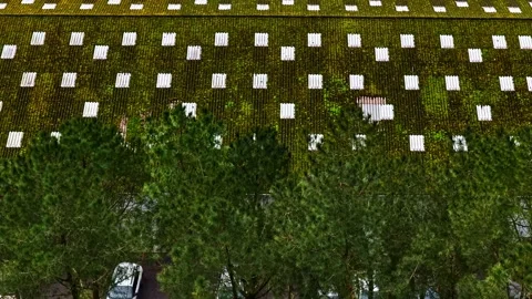 Green roof creating an eco-friendly cover on a commercial building surface Stock Footage 332455656