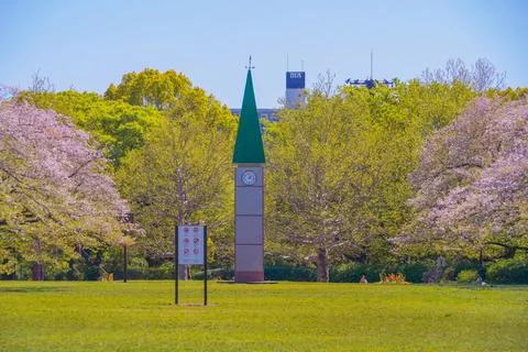 Green-roofed clock tower (Sarue Onshi Park) Photos