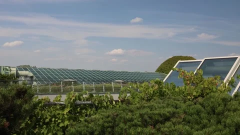 Green rooftop garden thrives under sunlight with rows of skylights and lush plan Stock Footage 312697162