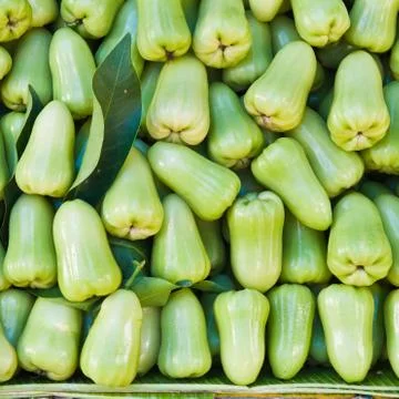 Green rose apple Stock Photos