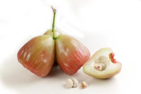 Green rose apple Stock Photos
