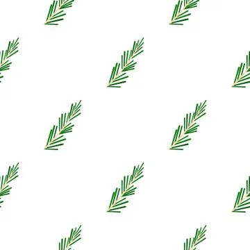 Green rosemary twig pattern flat 스톡 일러스트