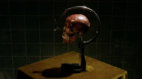 On a green rotating table covered with velour material, a skull spins on a stand Stock Footage 221843741