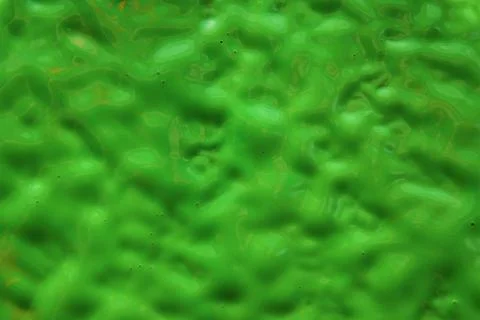 Green rough background texture. Wet paint. Stock Photos