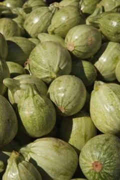 Green round squash Stock Photos