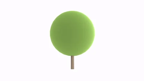 Green round tree isolated on white background Stock-Footage 308452462