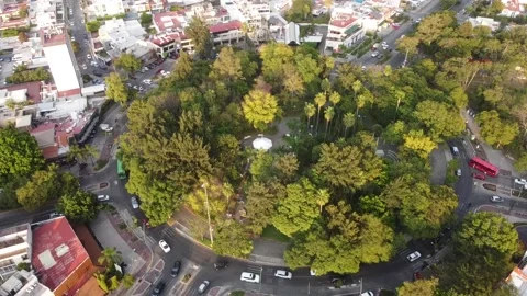 Green roundabout in Mexico Stock Footage 224416738