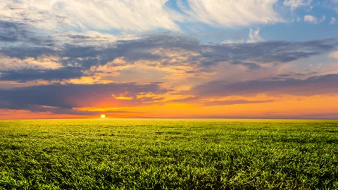 Green rural field at the dramatic sunset Stock Footage 146689916