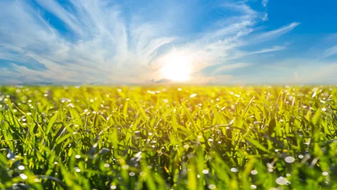 Green rural field at the dramatic sunset Vídeos de archivo 146689982