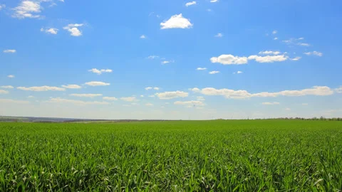 Green rural field under a cloudy sky Stock Footage 154045092