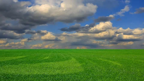 Green rural field under a cloudy sky, countryside agricultural time lapse scene Stock Footage 177367866