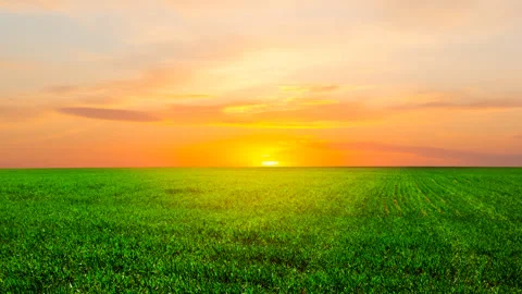 Green rural field under a dense clouds at the sunset Stock-Footage 310657002
