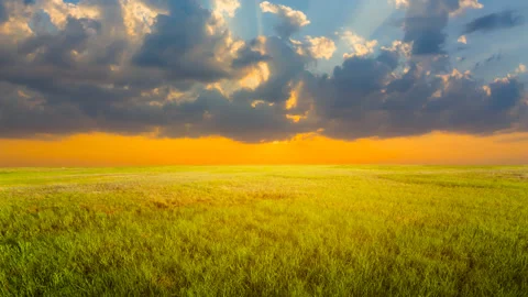 Green rural fields at the dramatic sunset Stock Footage 160536560