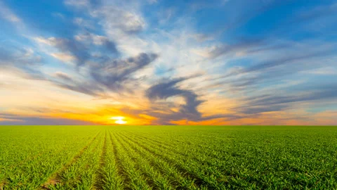 Green rural fields at the dramatic sunset Stockbeeldmateriaal 334839050