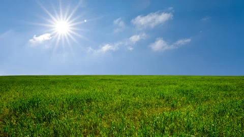 Green rural fields scene with electric towers under a sparkle sun Stock Footage 313586613