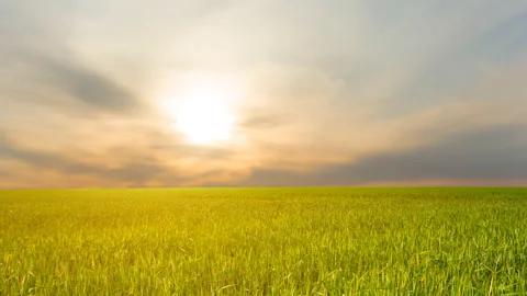 Green rural fields at the sunset time lapse scene Stock Footage 178911651